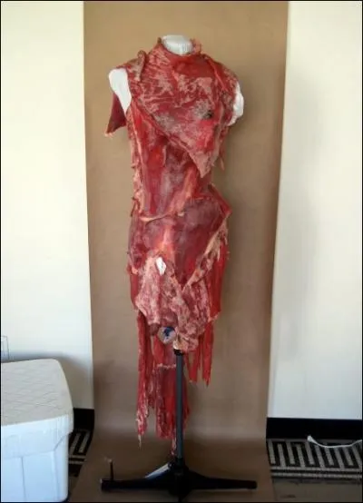 Qui s'est habille en robe de  viande   pour recevoir un prix ?