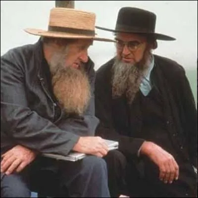 Pour quelle raison un vque Amish a t reconnu coupable de crime   haineux   par le tribunal de Cleveland aux tats-Unis ?