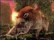 Lequel de ces hros tua le sanglier de Calydon ?