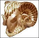 Lequel de ces hros rcupra la Toison d'or ?