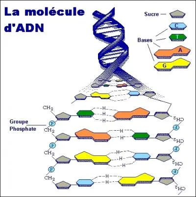 Google a invent la gne thique bien avant ...