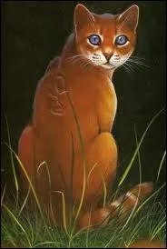 De qui Nuage de Lion est-il amoureux ?