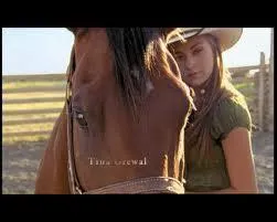 Amy est une jeune fille de 17ans qui a le don de parler la langue des chevaux.