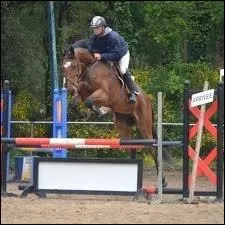 Dans quelle discipline est-il le plus souvent utilis ?