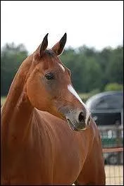 Il est plutt craintif, endormi mais il ne manque pas de caractre !