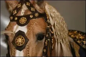 Quel est l'intrus entre ces chevaux lusitaniens clbres ?