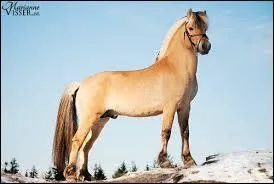 Comment est-il appel dans son pays d'origine ?