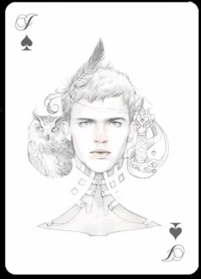 En Cte d'Ivoire, qu'appelle-t-on l'opration hibou ?