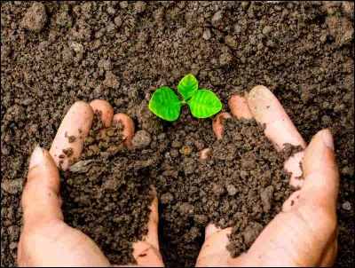 L'histoire se déroule...