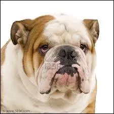 Quel est ce symbole ?