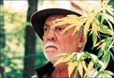 Il aurait pu apparatre dans ... .