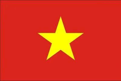 Cette partie du Vit Nam (qui a aujourd'hui gard ce drapeau), a conquis une autre partie de ce dernier. Ce qui a conduit  la trs clbre guerre du Vit nam.