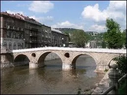 Amira et Bochko s'aimaient d'amour tendre 
Mais à Sarajevo qui aurait pu comprendre 
Que le coeur d'une musulmane 
Puisse battre pour celui 
Que la raison condamne 
Le Serbe, l'ennemi''