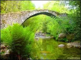 Qui a chanté ''Il suffit de passer le pont'' ?