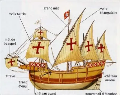 Navire  voiles  hauts bords invent par les portuguais au dbut du XV me sicle pour les voyages d'exploration au long cours (ex. dcouverte de l'Amrique par Christophe Colomb), c'est :