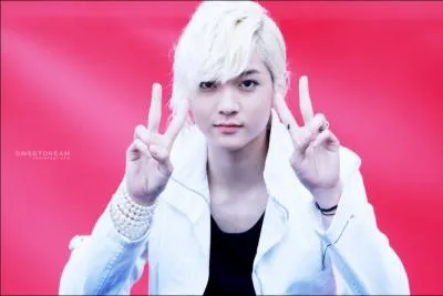 Combien mesure-t-il ?