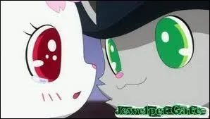 A quoi ressemble son collier ?