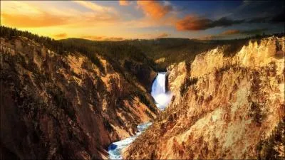 Trouvez avec humour l'expression qui colle  la photo !