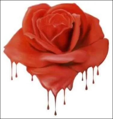 Elle aimait au jardin le rouge, le rose, les (... ) du rosier,