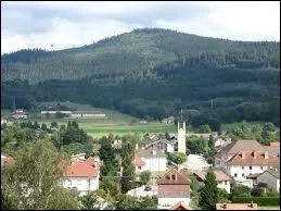Les habitants de Saint-Lonard portent le nom de ...
