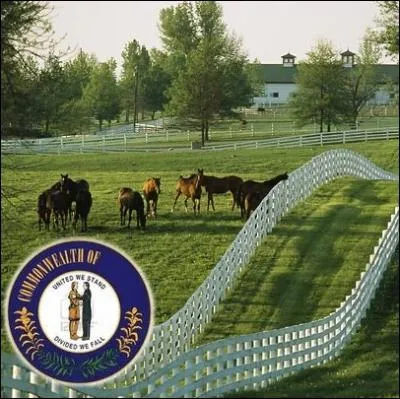 Considr comme le berceau du whisky amricain ( Bourbon), cet Etat de l'Est principalement agricole a pour capitale Franckfort ... .