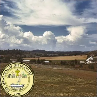 Etat du sud, connu pour ses deux capitales de la Musique, Country avec Nashville et du Rock avec Memphis ... .