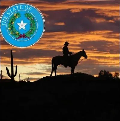 C'est le plus vaste des Etats amricains aprs l'Alaska. Son conomie dynamique repose sur l'levage et les hydrocarbures ... .