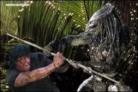 Le  camlon  chasseur de l'espace...