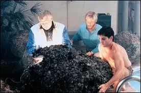 Au contact de l'eau d'une piscine abritant des tres d'un autre monde, des personnes ges retrouvent un peu de leur jeunesse...