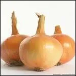 De ces trois oignons jaunes, un seul bnficie d'une AOC depuis dix ans. Lequel ?