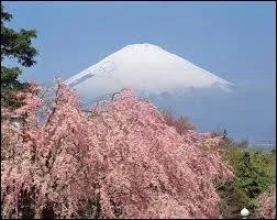 Quelle est la hauteur du mont Fuji, plus haut sommet du Japon ?