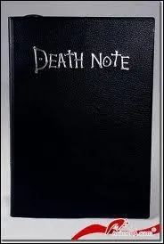La langue des règles du Death Note changent en fonction du pays ou il se situe (ex : le cahier est en France, les règles sont françaises).
