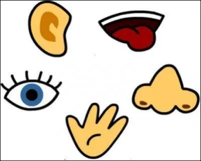 Quelle liste est fausse ?