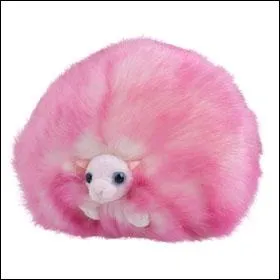 Tout cela est bien trop dangereux, allons vers ce rayon color de rose ! Ah, je connais bien ces petites btes. Une amie  moi, qui s'appelle Ginny, en avait un quand elle tait  Poudlard. C'est un :