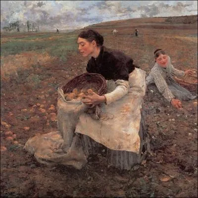 Ce tableau   Rcolte des pommes de terre   a t ralis par ce peintre naturaliste franais n en 1848  Damvillers en Lorraine ... .