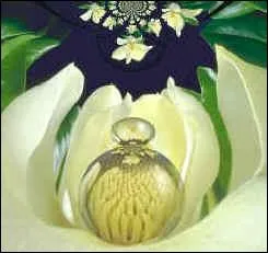 - tria et reprit d'anciennes nuances qu'(... ) compliqua, qu'elle subtilisa,