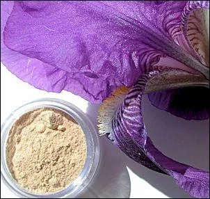 Le style parfum Louis XIII, compos des lments chers  cette poque, de la poudre d'iris, du musc, de la civette, de l'eau de (... ) ;