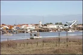 Ceux de la commune de L'Aiguillon-sur-Mer portent le gentil ...