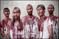 Comment se nomme ce groupe ?