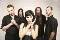 Comment se nomme ce groupe ?