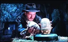 Prof d'archologie aventureux au lasso et chapeau indmodable ...