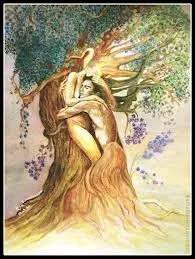 - je t'(... ) pour rire cache derrire les arbres