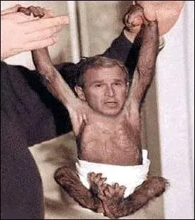 Reconnaissez-vous ce primate ?