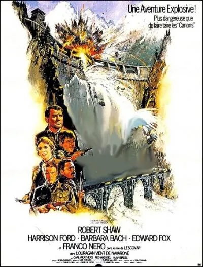 Aux cts de Robert Shaw dans ce film de guerre britannique ralis par Guy Hamilton en 1978 ... .