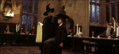 Quel audience a fait le film  Harry Potter  l'cole des sorcier  ?