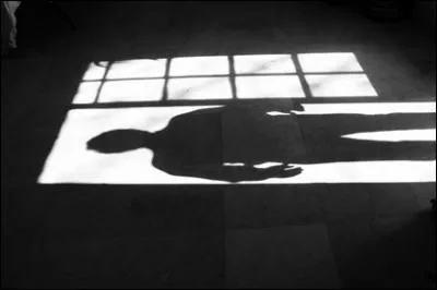 Qui est l'ombre noire ?