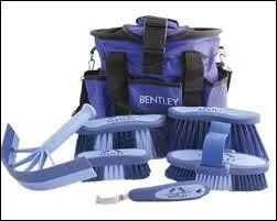 Quelles sont les brosses lmantaires ?