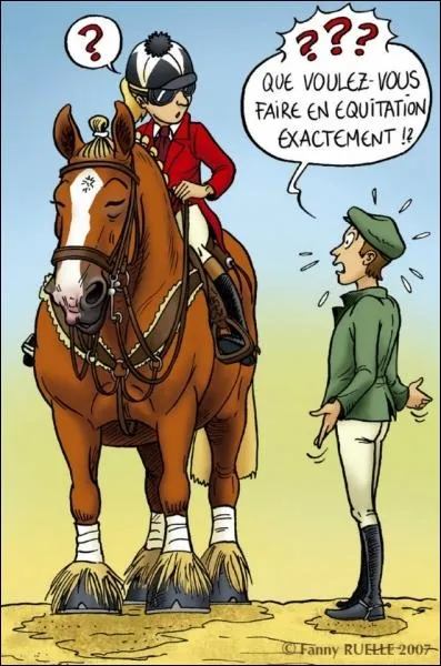 Quelles sont les disciplines les plus courrantes ?