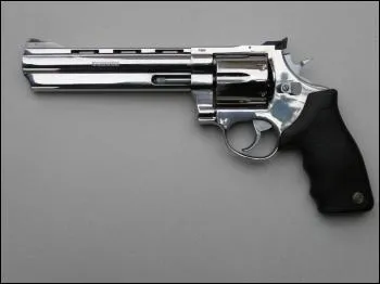 Divers - Quel mot dsigne la mire avant d'une arme  feu ?