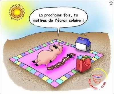 Sa carrire commence par hasard : elle remplace sa soeur dans un concours et s'y fait remarquer. C'est dans le film 'Plein soleil' qu'elle apparat aux cots de :